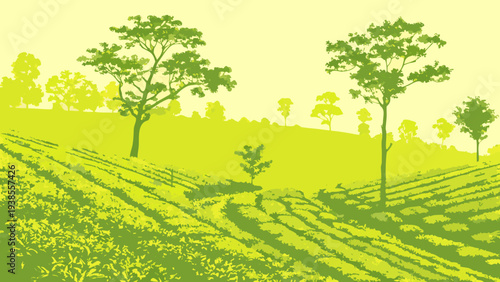 A serene landscape of a tea plantation with trees on a hillside Vector