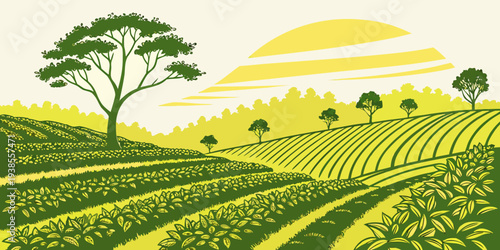 A green and yellow image of a vineyard at sunset Vector