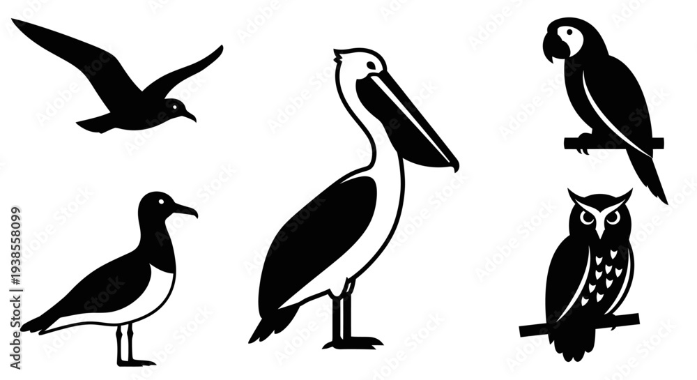 Naklejka premium Diverse Bird Silhouettes Collection: Seagull, Pelican, Parrot, and Owl Vector Icons