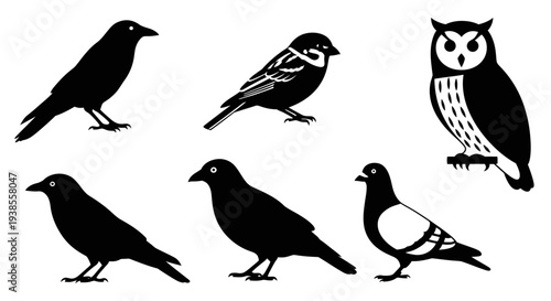 Diverse Bird Silhouettes Collection: Crow, Sparrow, Owl, Pigeon Vector Set