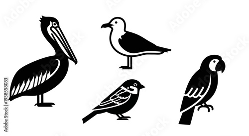 Diverse Bird Silhouettes Collection: Pelican, Seagull, Sparrow, and Parrot Icons