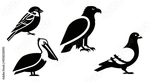Diverse bird silhouettes collection: sparrow, eagle, pelican, pigeon icons on white background