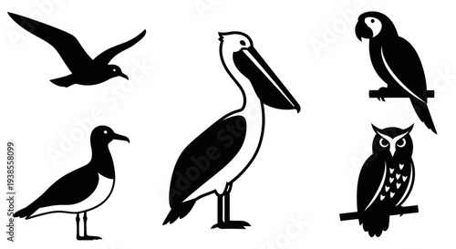 Diverse Bird Silhouettes Collection: Seagull, Pelican, Parrot, and Owl Vector Icons