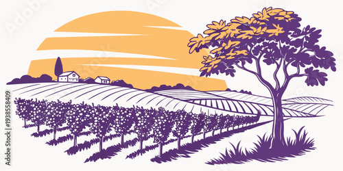 A purple and orange image of a vineyard at sunset Vector