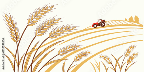A tractor drives through a field of wheat on a sunny day Vector