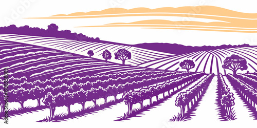 A purple illustration of a vineyard at sunset Vector