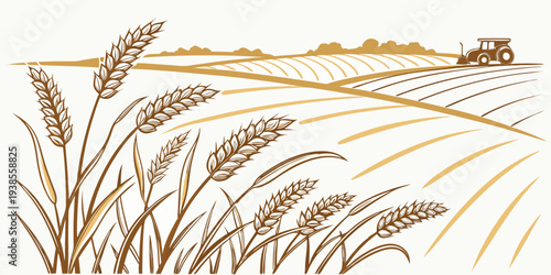 A tractor drives through a field of wheat Vector
