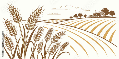 A field of wheat with a farm in the background Vector