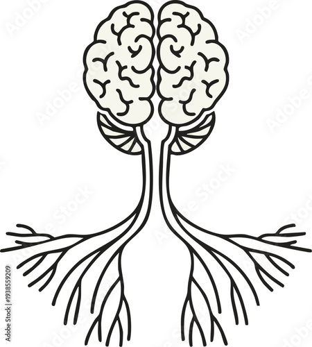 Illustration of human brain anatomy with detailed roots and neural connections visible from a frontal viewpoint