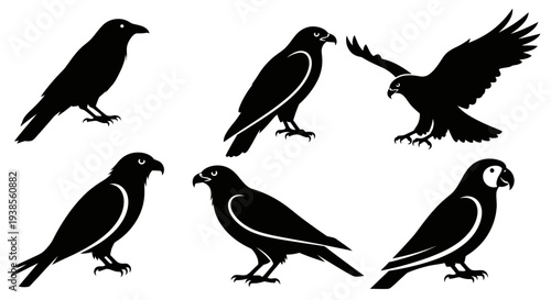 Diverse Bird Silhouettes Vector Set: Eagle, Crow, Hawk, Parrot Icons Wildlife Collection