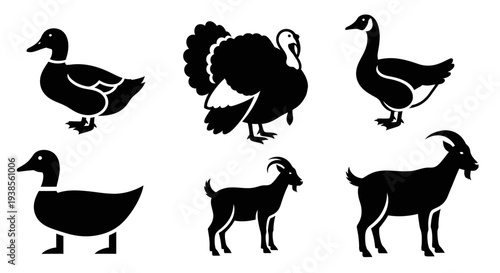 Farm Animals Silhouette Icons Set: Duck, Turkey, Goose, and Goat Collection