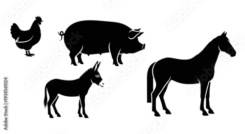 Farm Animals Silhouettes: Chicken, Pig, Donkey, Horse on White Background
