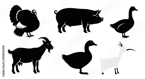 Farm Animals Silhouettes Collection: Turkey, Pig, Geese, and Goats Set