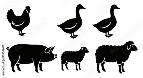 Farm Animals Silhouettes Set: Chicken, Geese, Pig, and Sheep Icons Collection