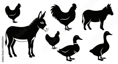 Farm Animals Silhouettes Set: Donkey, Rooster, Chickens, and Ducks