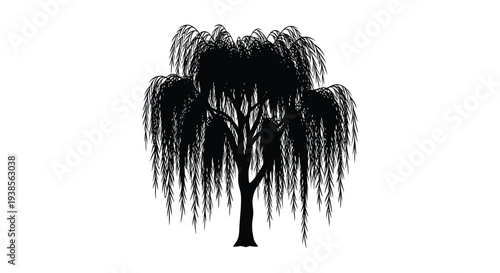 A striking black and white illustration depicts a weeping willow tree with cascading branches presented as a silhouette high quality professional