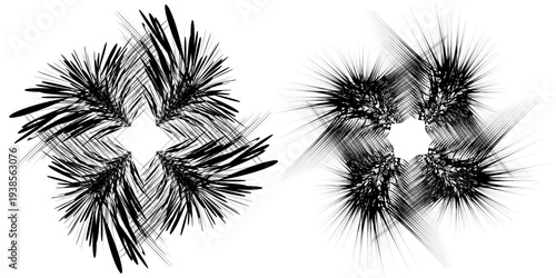 Abstract background with lines in circle. Art design spiral as logo or icon. A black figure on a white background and an equally white figure on the black side.