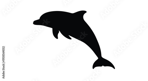 Silhouette of a dolphin leaping out of the water