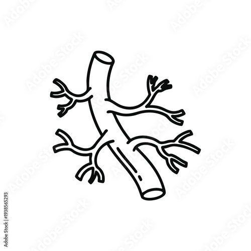 Detailed illustration of human lung anatomy, focusing on bronchi and bronchioles structure from a medical viewpoint