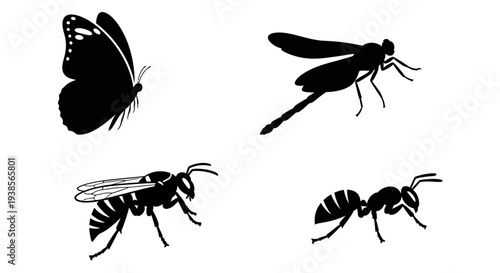 Insect Silhouettes Collection: Butterfly, Dragonfly, Wasp, and Ant Icons on White Background