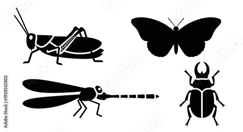 Insect Silhouettes Collection: Butterfly, Grasshopper, Dragonfly, and Beetle Icons