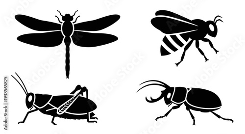 Insect Silhouettes Collection: Dragonfly, Bee, Grasshopper, and Beetle Vector Set