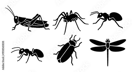 Insect Silhouettes Collection: Grasshopper, Spider, Ant, Beetle, Dragonfly Vector Graphics