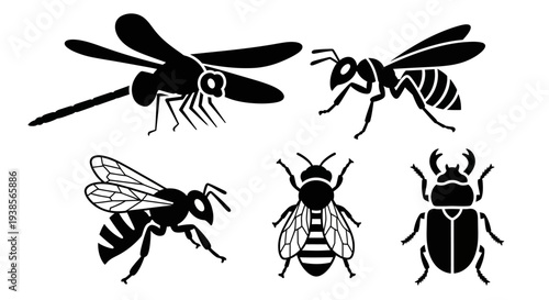 Insect Silhouettes Collection: Dragonfly, Wasp, Bee, and Beetle Icons
