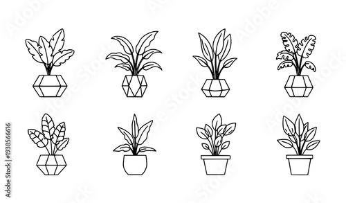 Minimalist Houseplants in Pots Isolated Icon Set – Indoor Plant Line Art Vector Illustration
