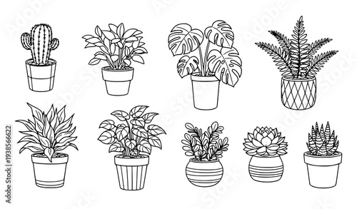 Hand Drawn Potted Houseplants Collection – Indoor Plant Doodle Icon Vector Set