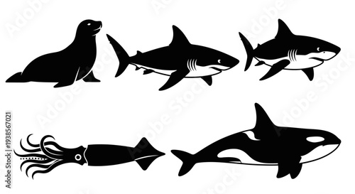 Marine animals silhouettes collection. Sea lion, sharks, squid, and orca graphic vector icons.