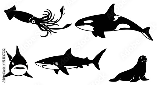 Marine Animals Silhouettes Collection: Orca, Shark, Squid, and Seal Icons