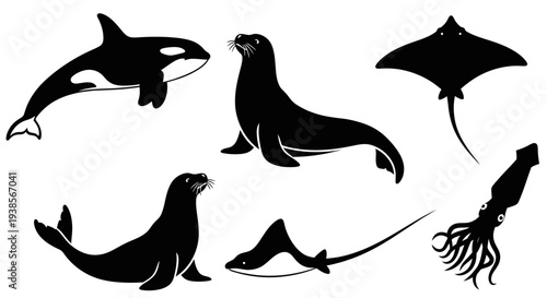 Marine Animals Silhouettes Collection: Orca, Sea Lion, Stingray, and Squid Vector Set