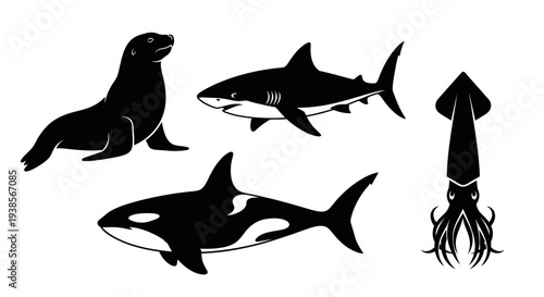 Marine animals silhouettes set: sea lion, shark, orca, and squid. Ocean wildlife icons collection.