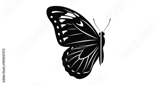 A striking black butterfly is depicted in profile showcasing intricate wing patterns and delicate antennae silhouette high quality professional