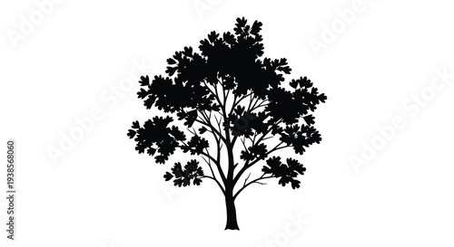 A strikingly detailed black silhouette of a lush full tree with intricate branching creating a dramatic scene silhouette