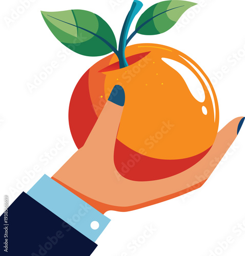 Orange in the hands isolated on transparent background