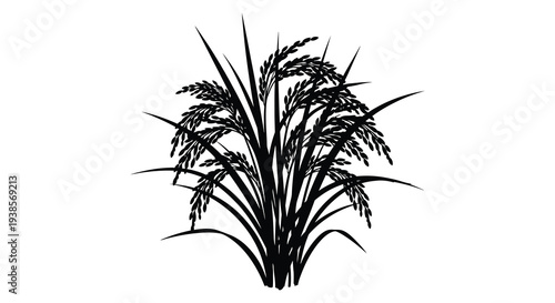 A striking black and white illustration depicts a cluster of rice plants with detailed stalks and leaves a silhouette