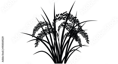 A striking black and white illustration depicts a cluster of rice stalks with elegant sweeping forms a beautiful silhouette high quality