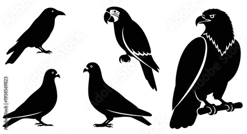 Various Bird Silhouettes Collection: Eagle, Parrot, Crow, and Pigeons on White Background