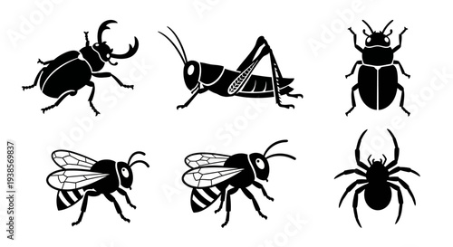 Various insect silhouettes: beetle, grasshopper, bee, spider. Nature bug icons