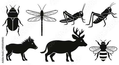 Wildlife and Insect Silhouettes Vector Set. Black Animal Icons on White Background.