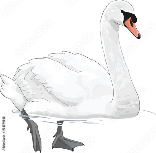 Graceful white swan illustration gliding serenely on calm water showcasing elegant curved neck detailed feathers webbed feet submerged and a vibrant orange and black beak