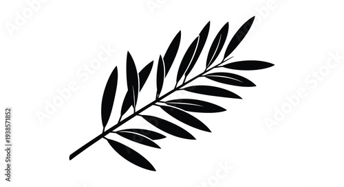 Εκτύπωση καμβά A striking black silhouette of a willow branch with elongated leaves gracefully