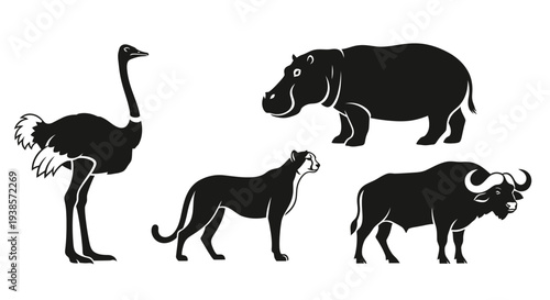 African Wildlife Silhouettes: Ostrich, Hippo, Panther, Buffalo Vector Set