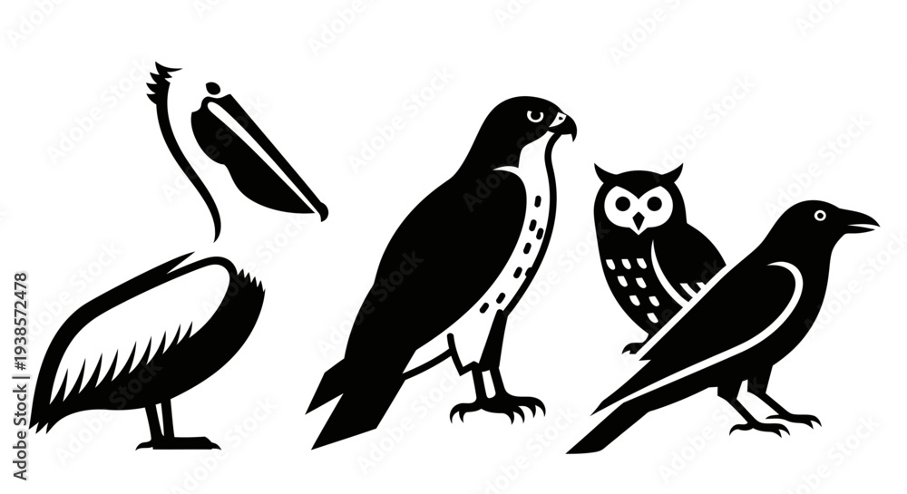 Obraz premium Bird Silhouettes Collection: Pelican, Hawk, Owl, and Crow Vector Icons