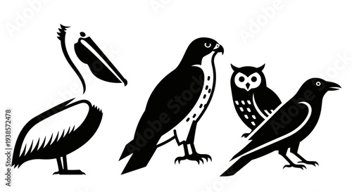 Bird Silhouettes Collection: Pelican, Hawk, Owl, and Crow Vector Icons