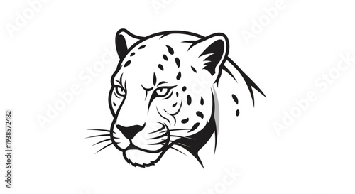 Close up illustration of a fierce jaguar head with detailed markings.