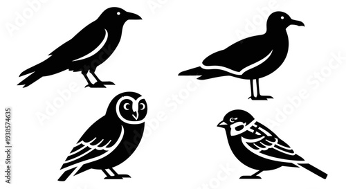 Bird silhouettes set: crow, owl, seagull, and sparrow icons