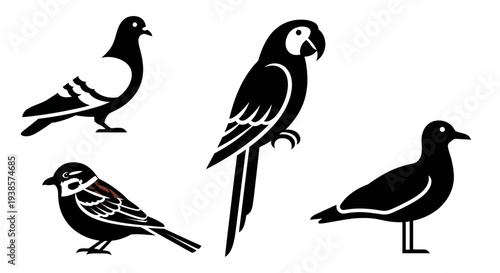 Wallpaper Mural Black Silhouette Collection of Diverse Birds: Pigeon, Parrot, Sparrow, Seagull Torontodigital.ca